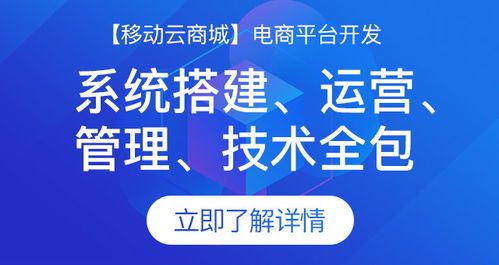 制作一个电商网站需要多少钱